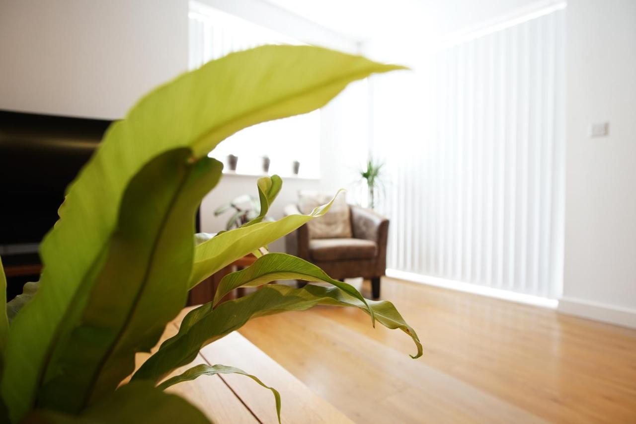Ocean Views 4 Apartment New Quay Екстериор снимка